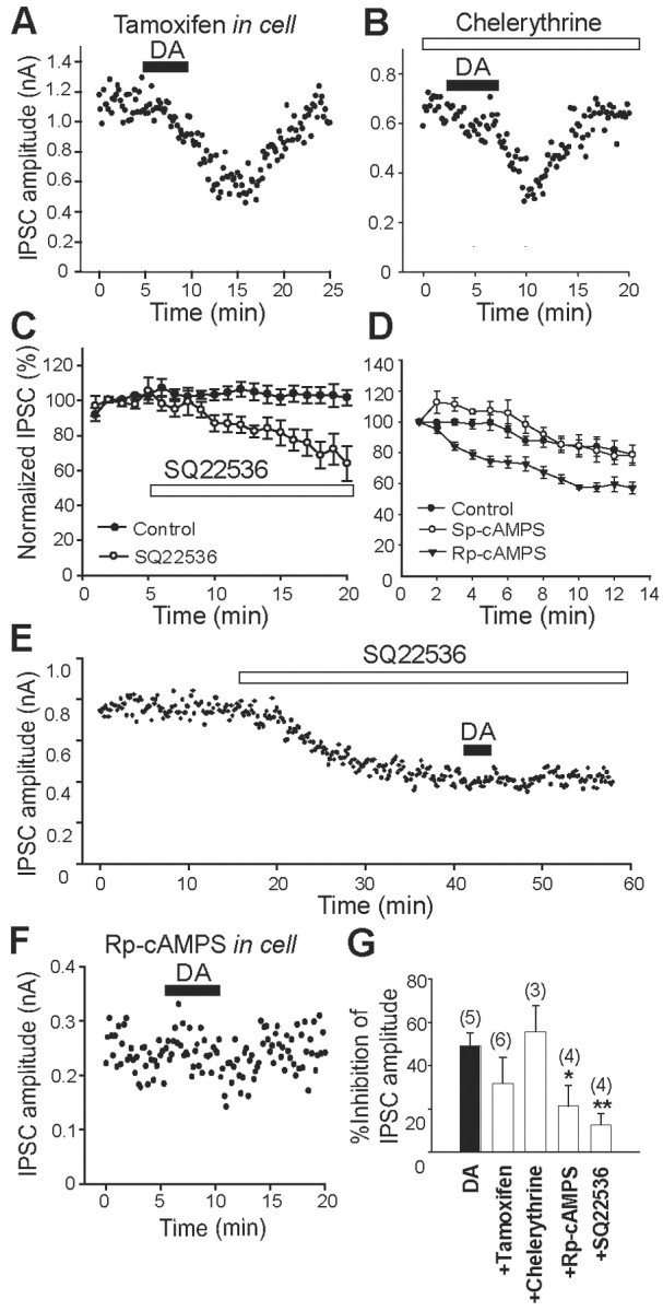 Figure 11.