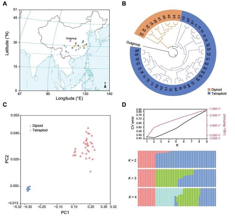 Figure 4