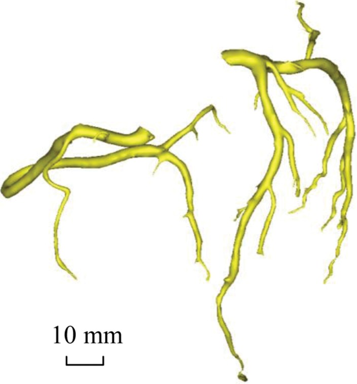 Figure 2c: