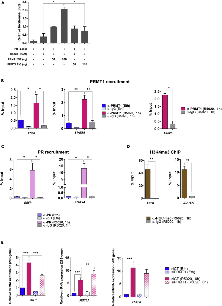 Figure 4