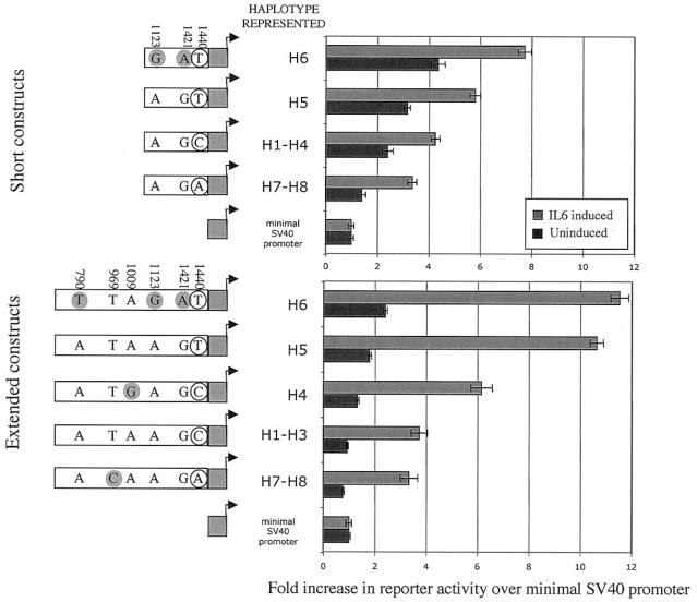 Figure  7