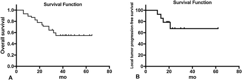 Fig. 3