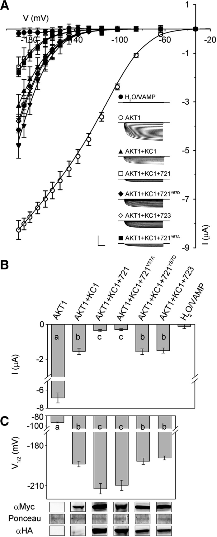 Figure 10.