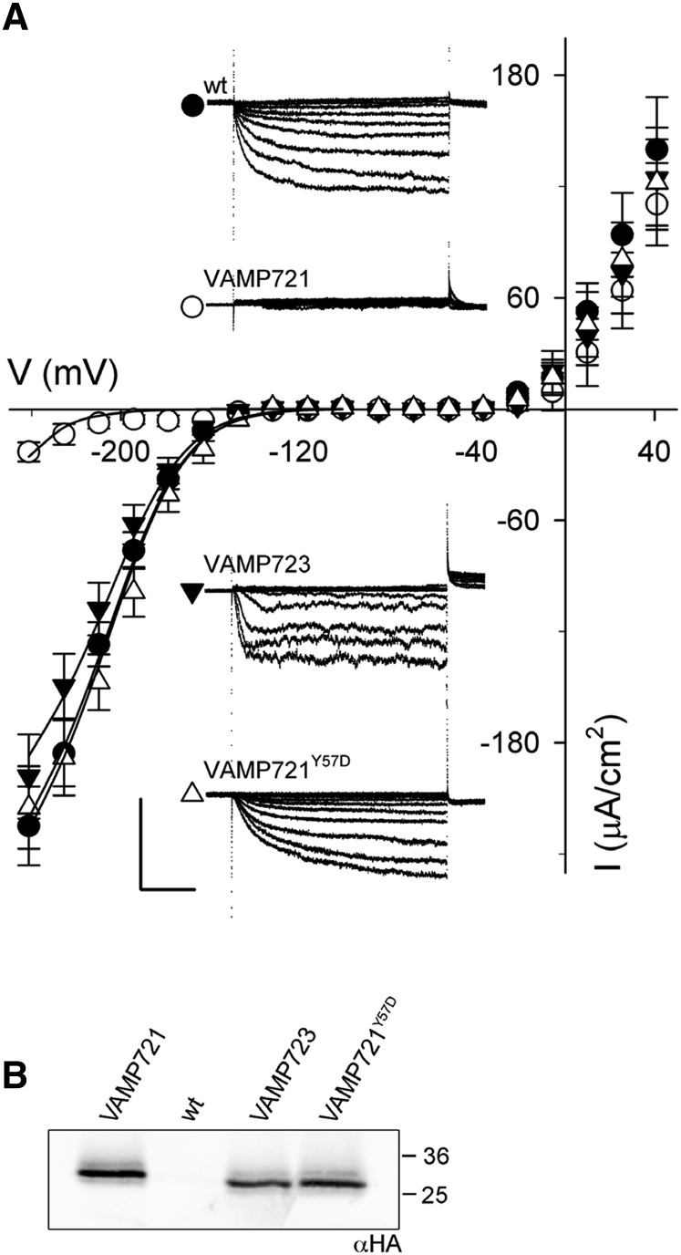 Figure 11.