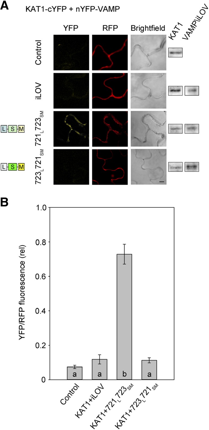 Figure 5.