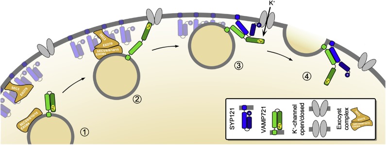 Figure 13.