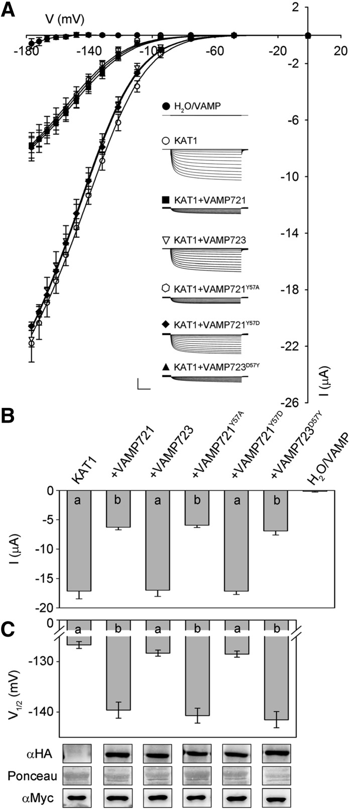 Figure 9.