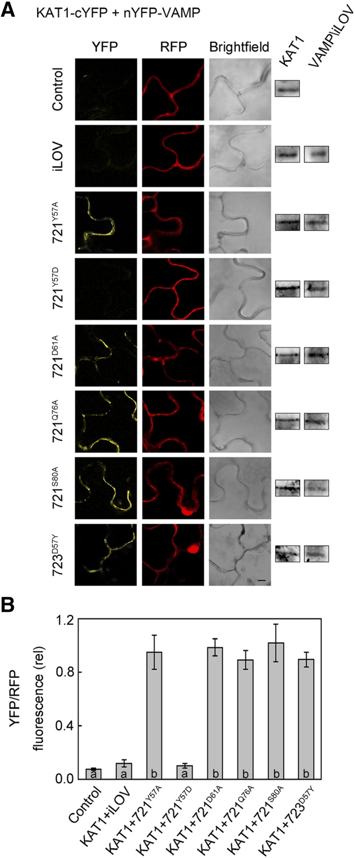 Figure 7.