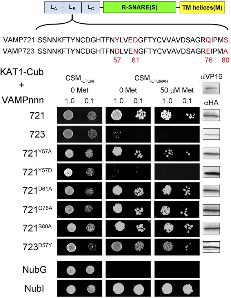 Figure 6.