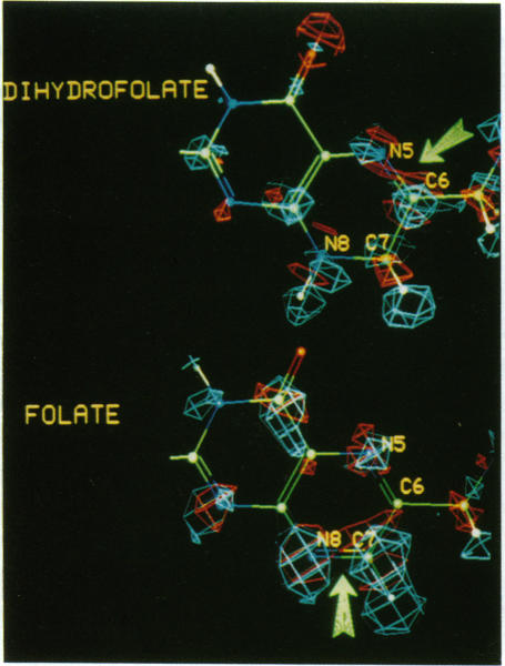 graphic file with name pnas01065-0047-a.jpg