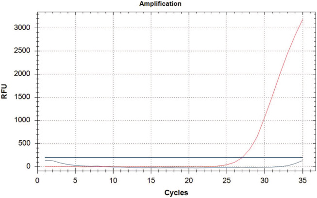 FIGURE 3