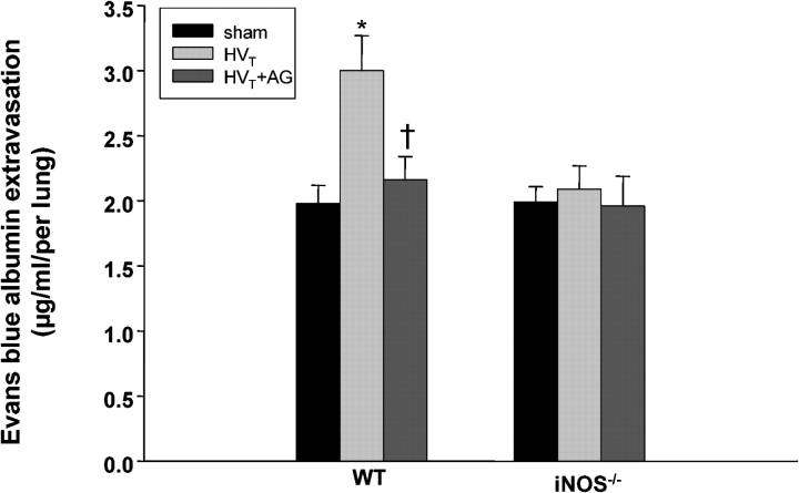 Figure 13.