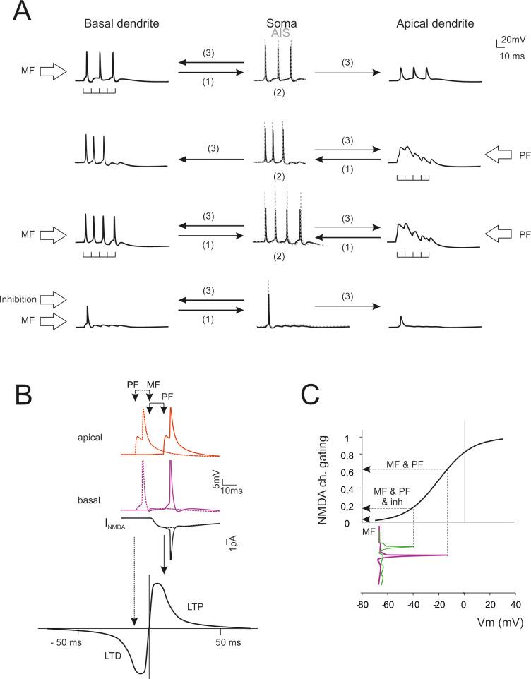 Fig 9