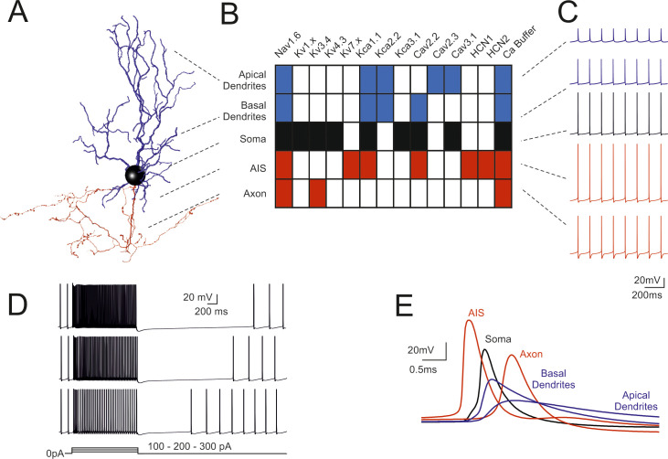 Fig 1