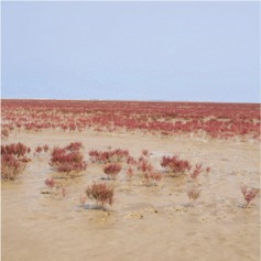 graphic file with name mcv022ilf16.jpg