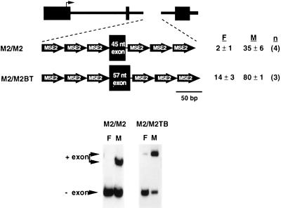 FIG. 5