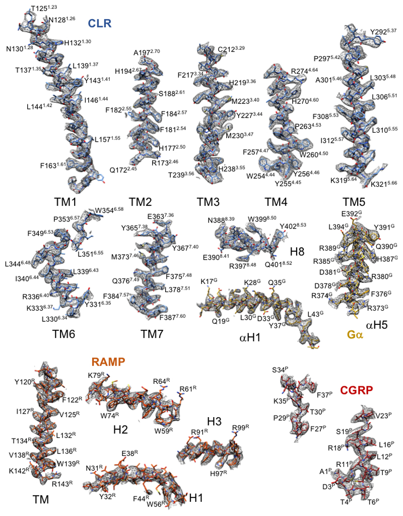 Extended Data Figure 4