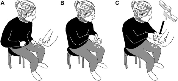 Figure 1.