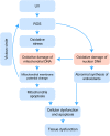 Fig. 2