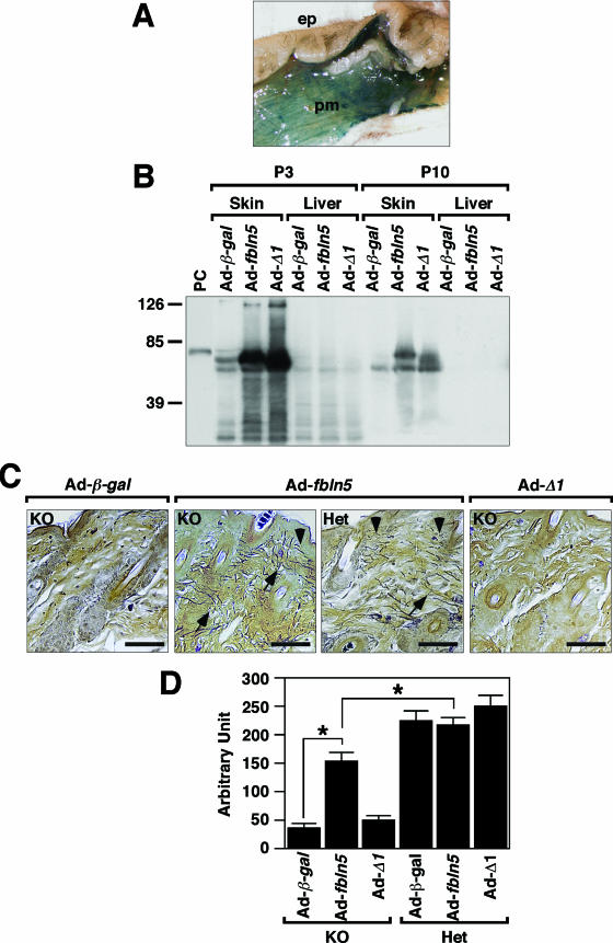 FIG. 6.