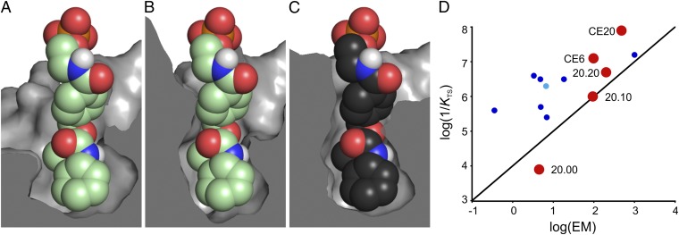 Fig. 5.