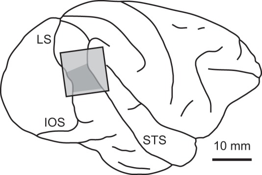 Fig. 3.