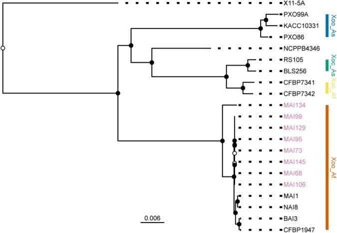 FIGURE 4