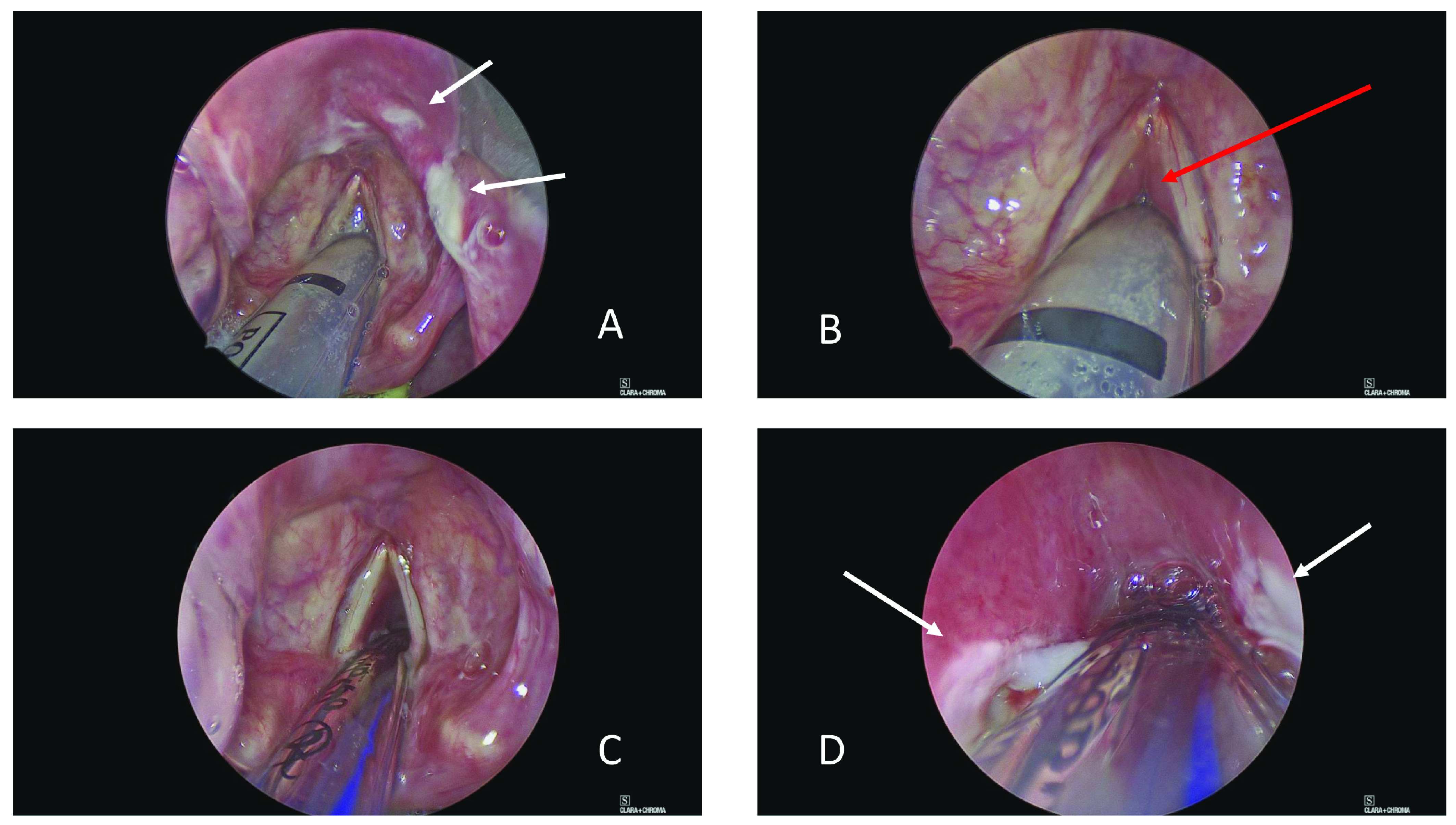 Figure 2. 