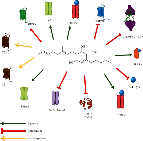 Figure 4