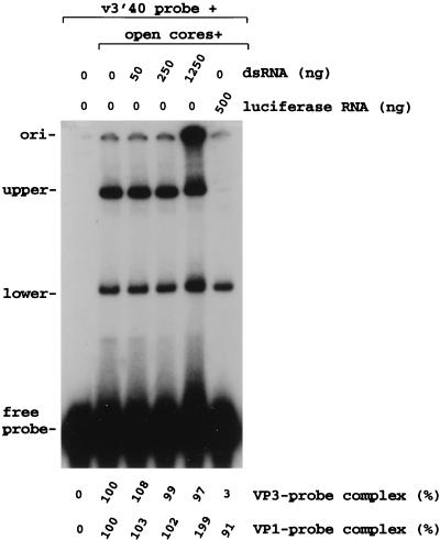 FIG. 9