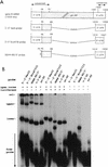 FIG. 8