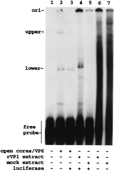 FIG. 7