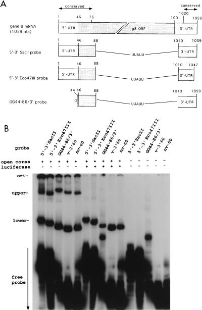 FIG. 8