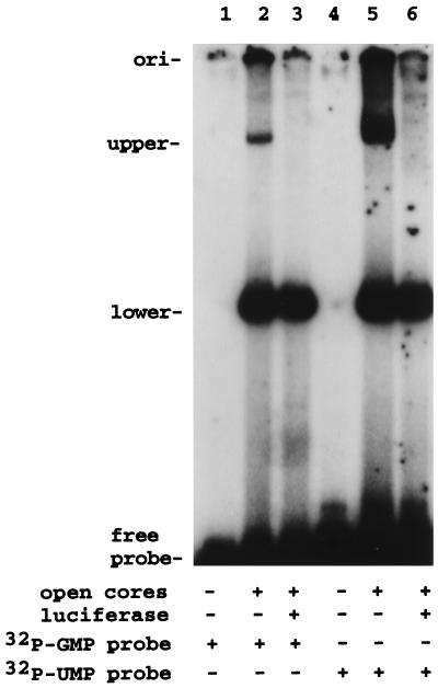 FIG. 11