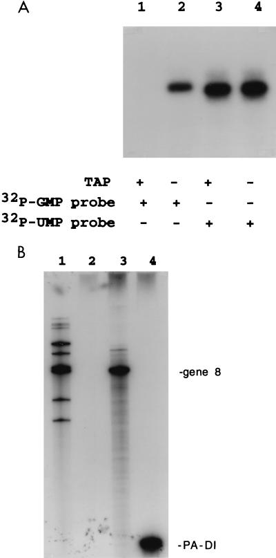 FIG. 10