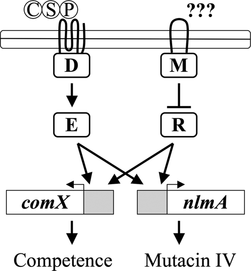 FIG. 7.