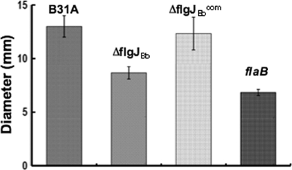 Fig 3