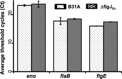 Fig 7