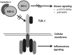 <b>FIG. 5.</b>