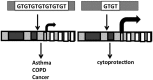 <b>FIG. 6.</b>