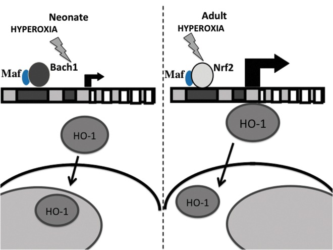 FIG. 7.