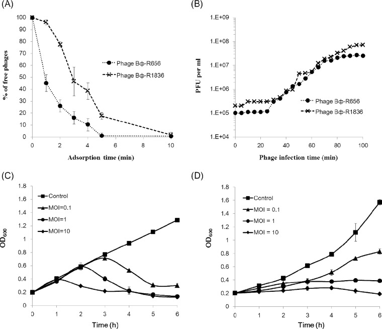 FIG 2