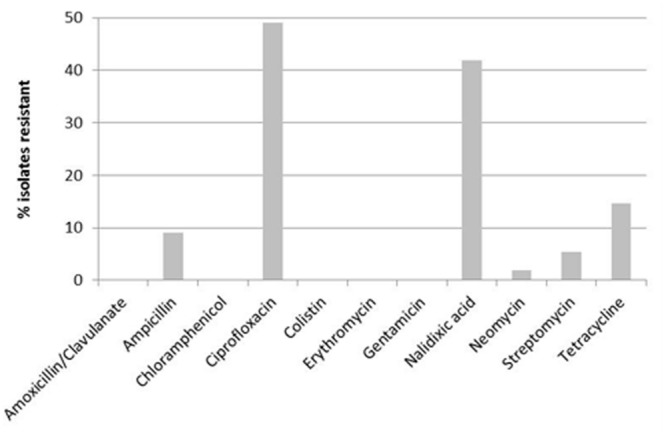 FIGURE 1