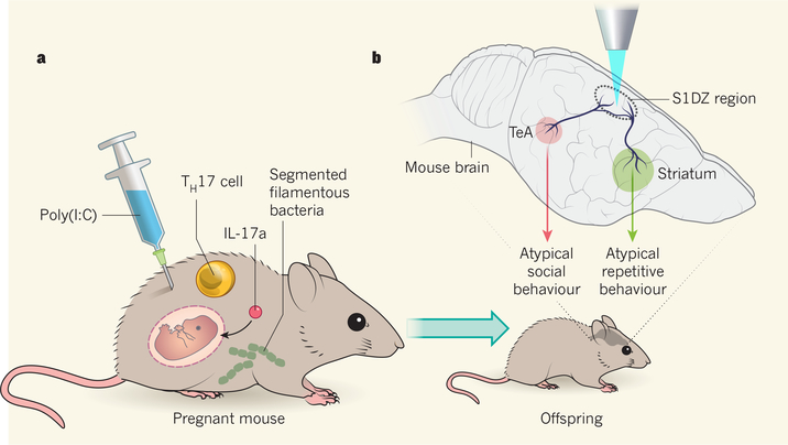 Figure 1 |