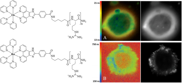 Fig. 11