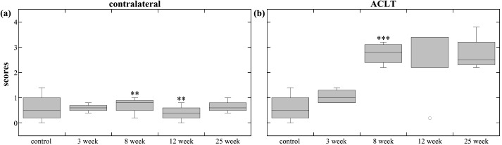 Fig. (6)