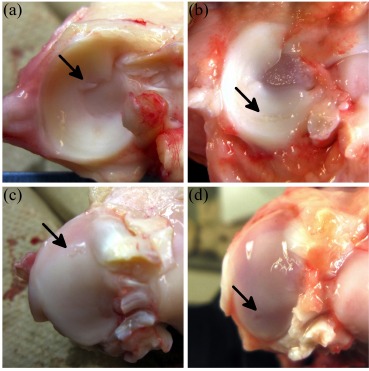 Fig. (2)