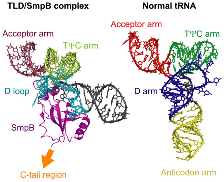 FIGURE 3