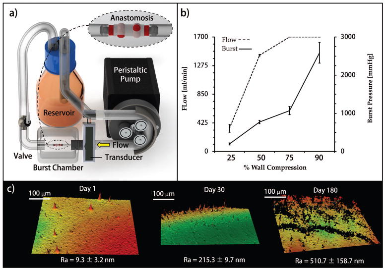 FIGURE 4