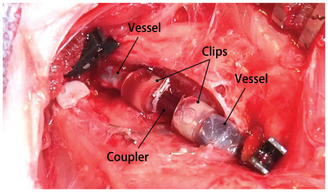 FIGURE 6